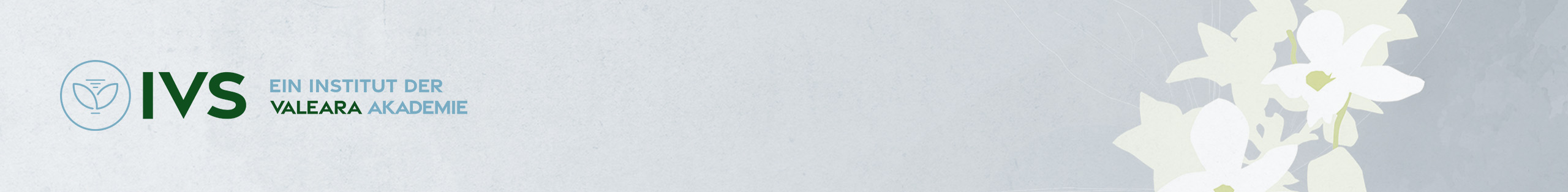 Logo des IVS-Instituts